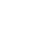 SE white logo